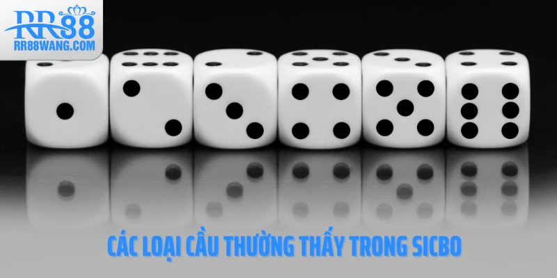 Các loại cầu thường thấy trong Sicbo